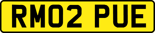 RM02PUE