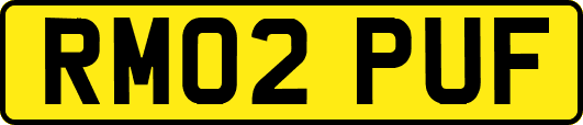 RM02PUF