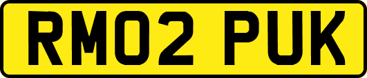 RM02PUK