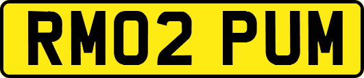 RM02PUM