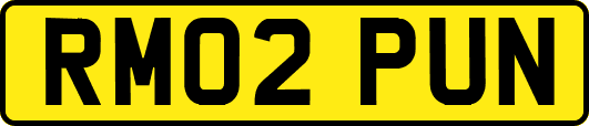 RM02PUN