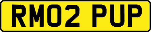RM02PUP