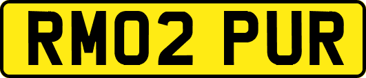 RM02PUR