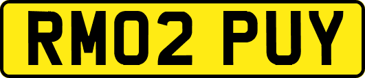 RM02PUY