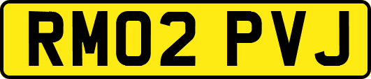 RM02PVJ