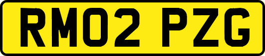 RM02PZG