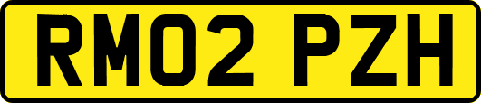 RM02PZH