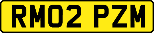 RM02PZM