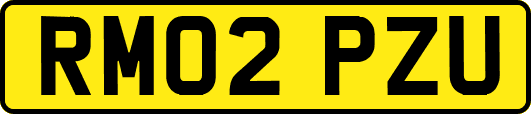 RM02PZU