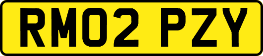 RM02PZY