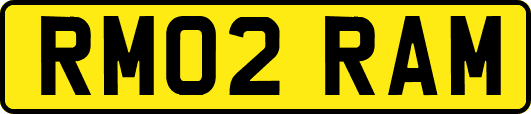 RM02RAM