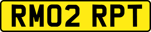 RM02RPT