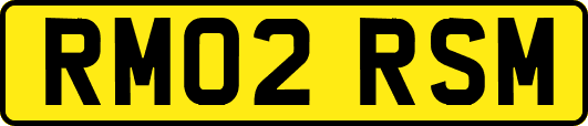 RM02RSM