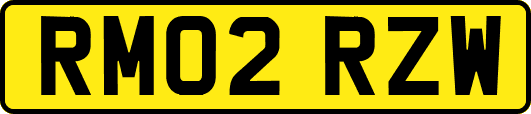 RM02RZW