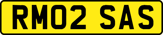 RM02SAS