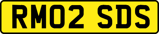 RM02SDS