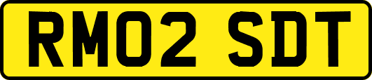 RM02SDT
