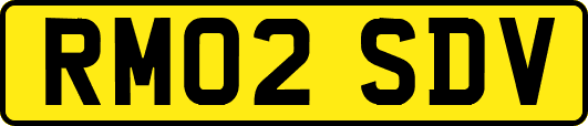 RM02SDV