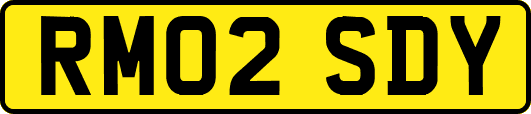 RM02SDY