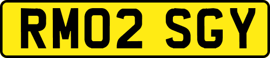RM02SGY