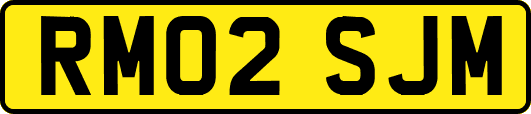RM02SJM