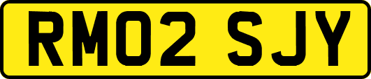 RM02SJY