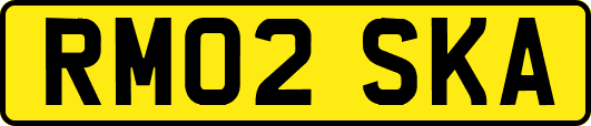 RM02SKA