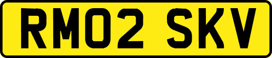 RM02SKV