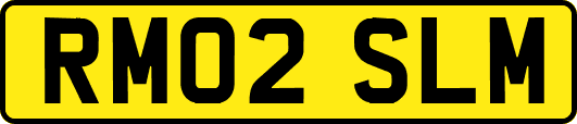 RM02SLM