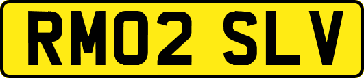 RM02SLV