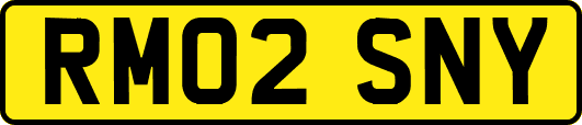 RM02SNY
