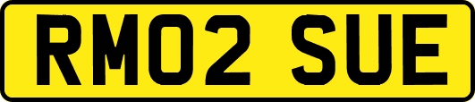 RM02SUE