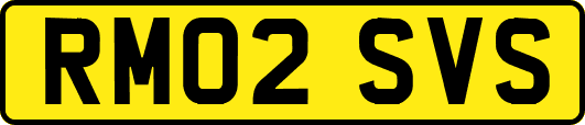 RM02SVS