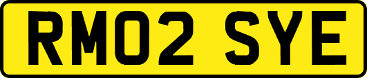 RM02SYE