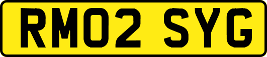 RM02SYG