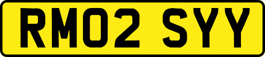 RM02SYY
