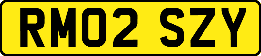 RM02SZY