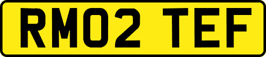 RM02TEF