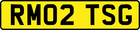 RM02TSG