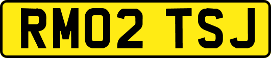 RM02TSJ