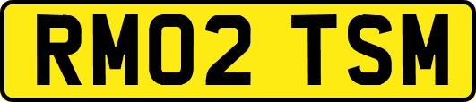 RM02TSM