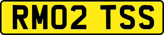RM02TSS