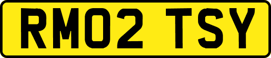 RM02TSY