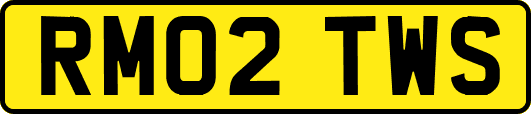 RM02TWS
