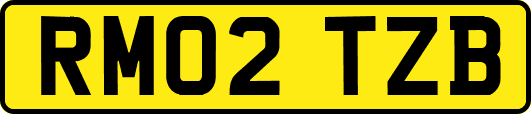 RM02TZB
