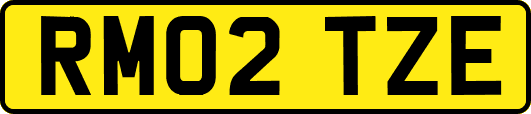 RM02TZE