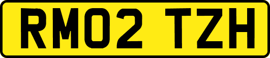 RM02TZH