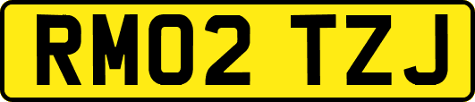 RM02TZJ