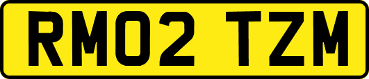 RM02TZM