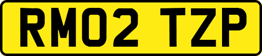 RM02TZP